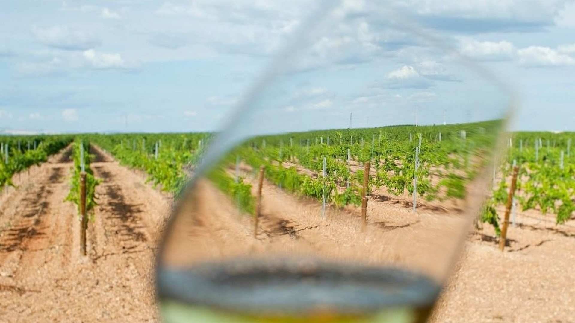 la D.O. Rueda es una de las denominaciones de origen vínicas más antiguas del país, la más antigua de Castilla y León, y cuenta con viñedos antiguos que hay que poner en valor