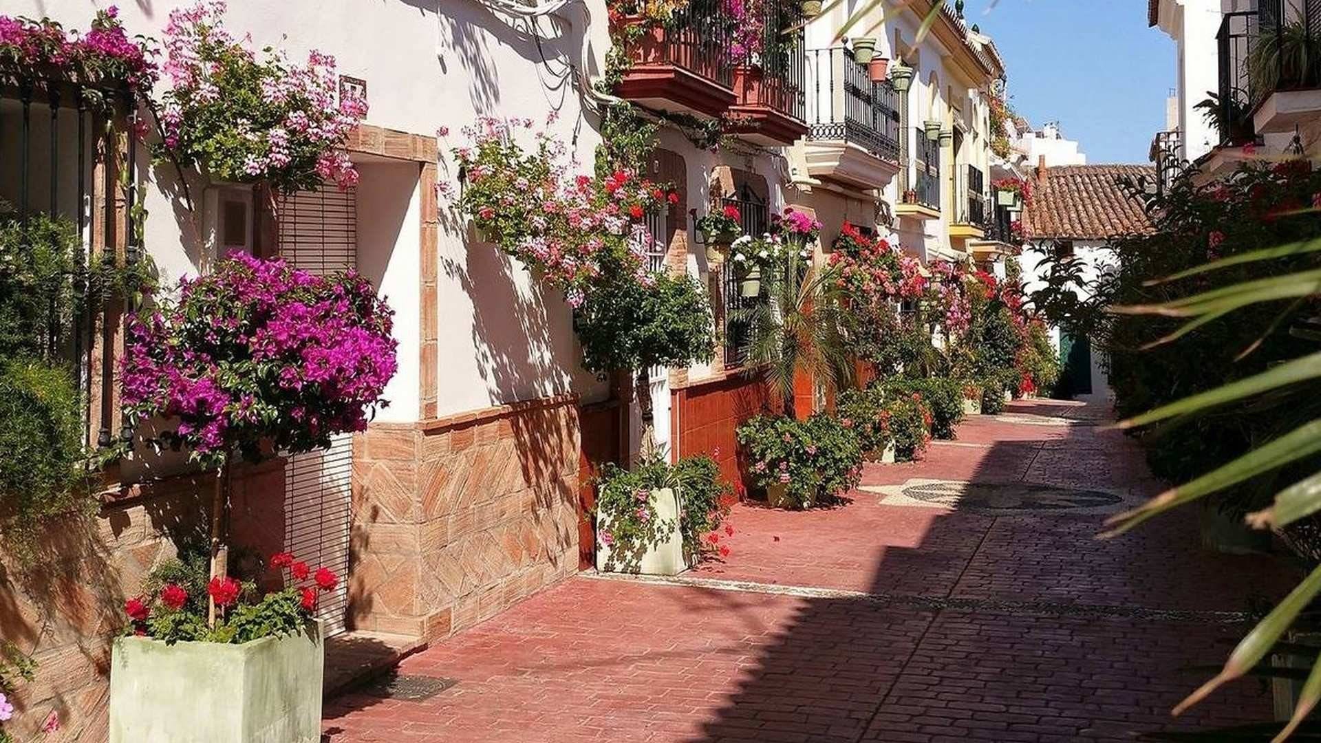 estepona