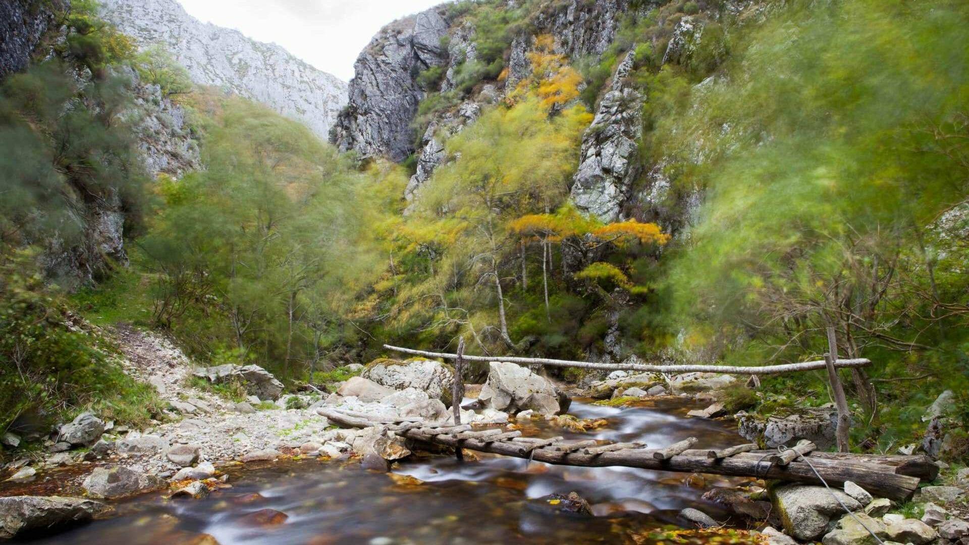 El río Nalón es el más caudaloso del Principado de Asturias y nace en el Parque Natural de Redes. ©Noé Baranda
