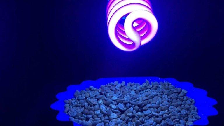 Lo último en desinfección de alimentos: La luz ultravioleta C