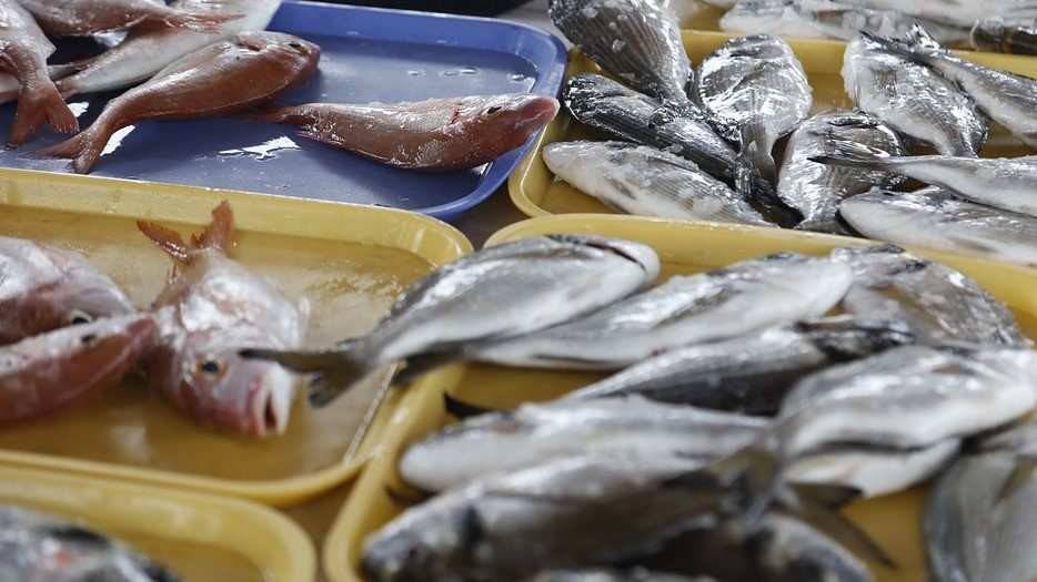 Pescados azules y blancos