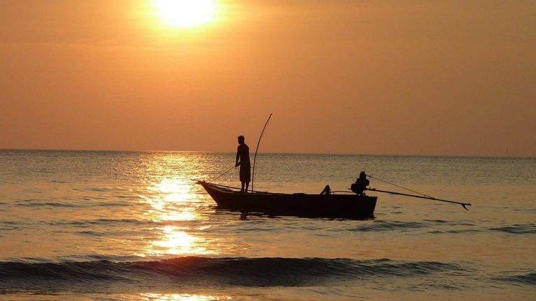 La pesca del futuro: sostenibilidad, colaboración y estrategia para preservar nuestros recursos marinos.