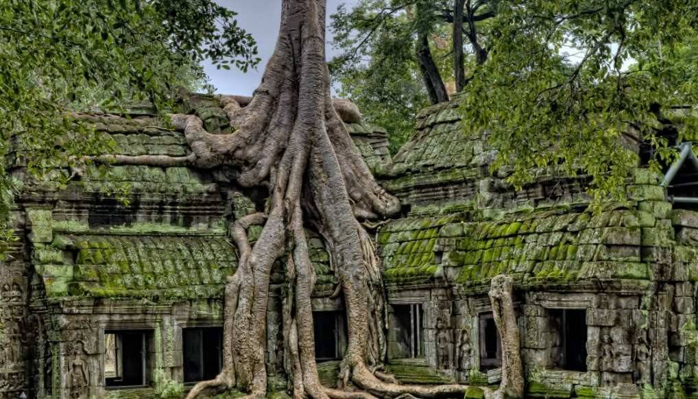 Templos de Angkor ocupan 400 km cuadrados de ruinas
