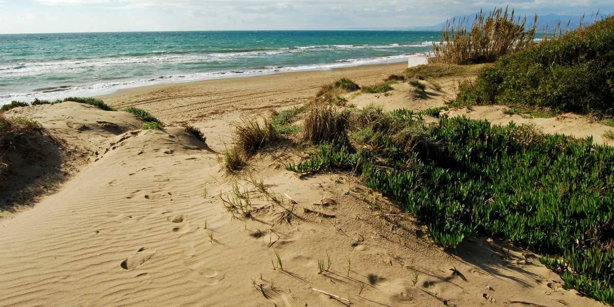 Las Dunas de Artola son un Paraje Natural protegido. Esta playa es nudista y textil.