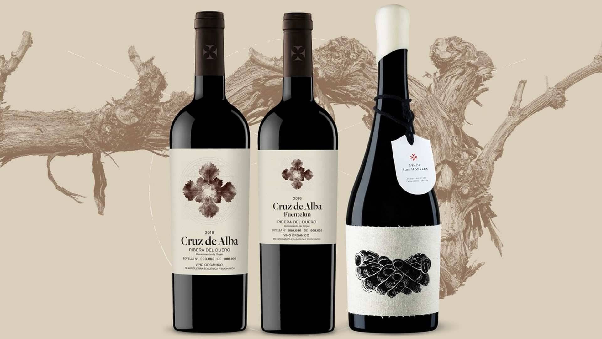Cruz de Alba lanza sus vinos ecológicos