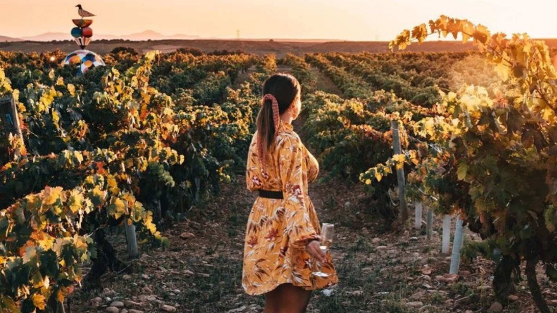 Ruta por las bodegas de La Rioja que tienes que visitar este verano