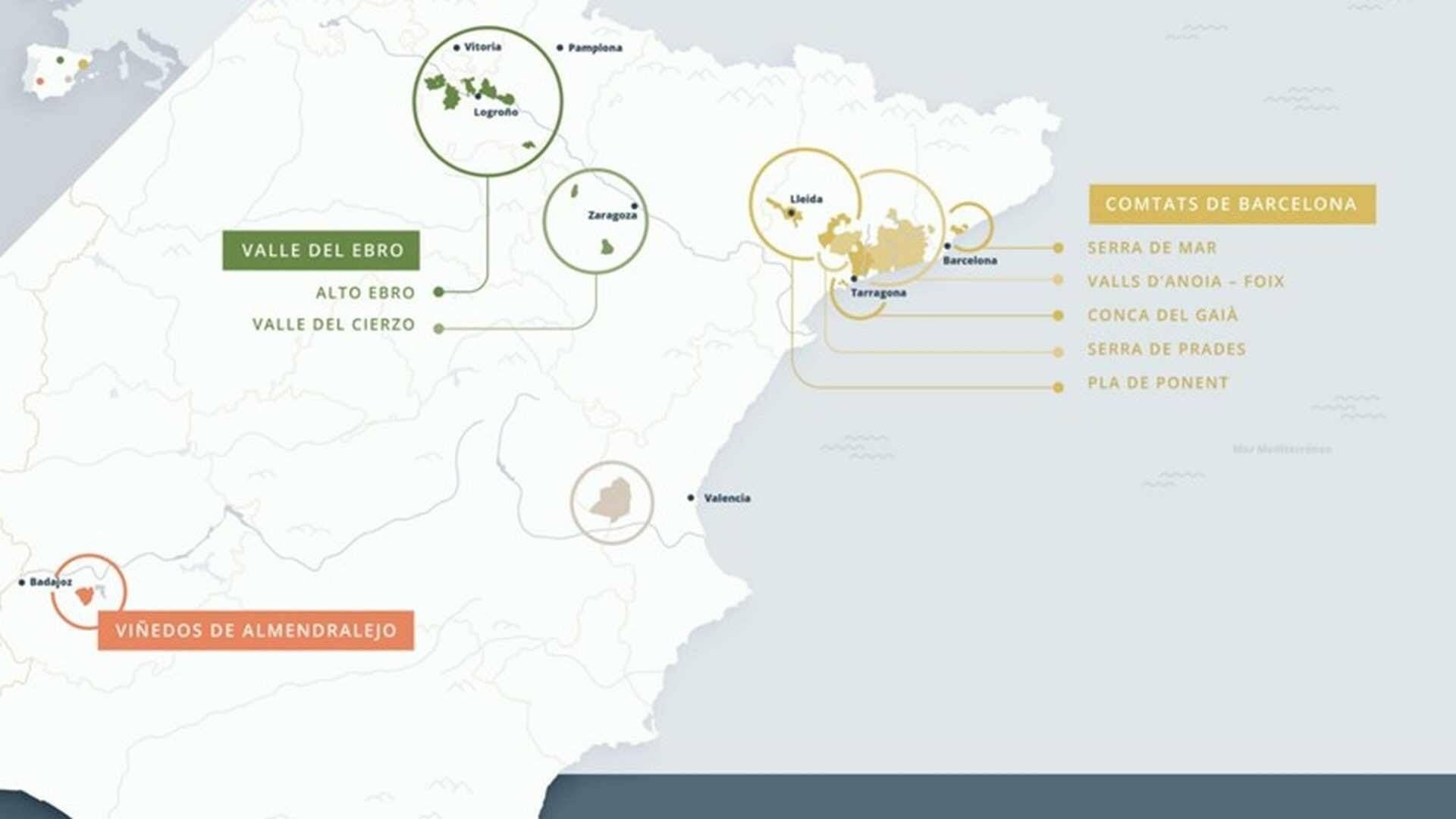 Nueva zonificación y segmentación de la D.O cava