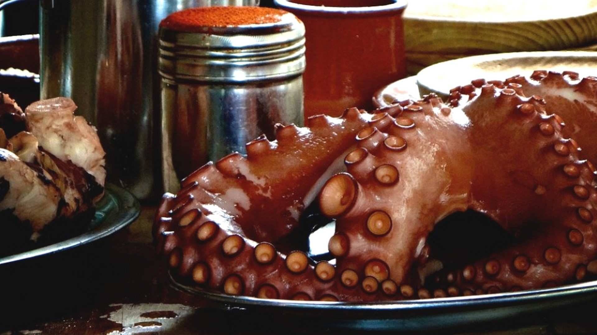 ¿Cómo cocer el pulpo?