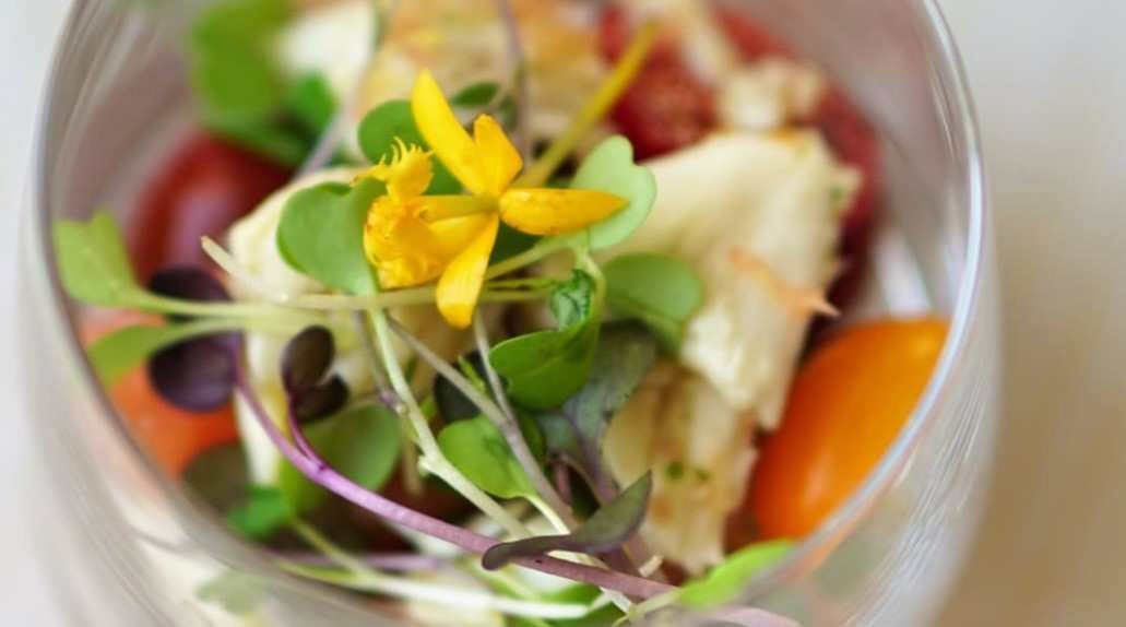 Color, sabor y nutrientes... las claves de los brotes de localgreens
