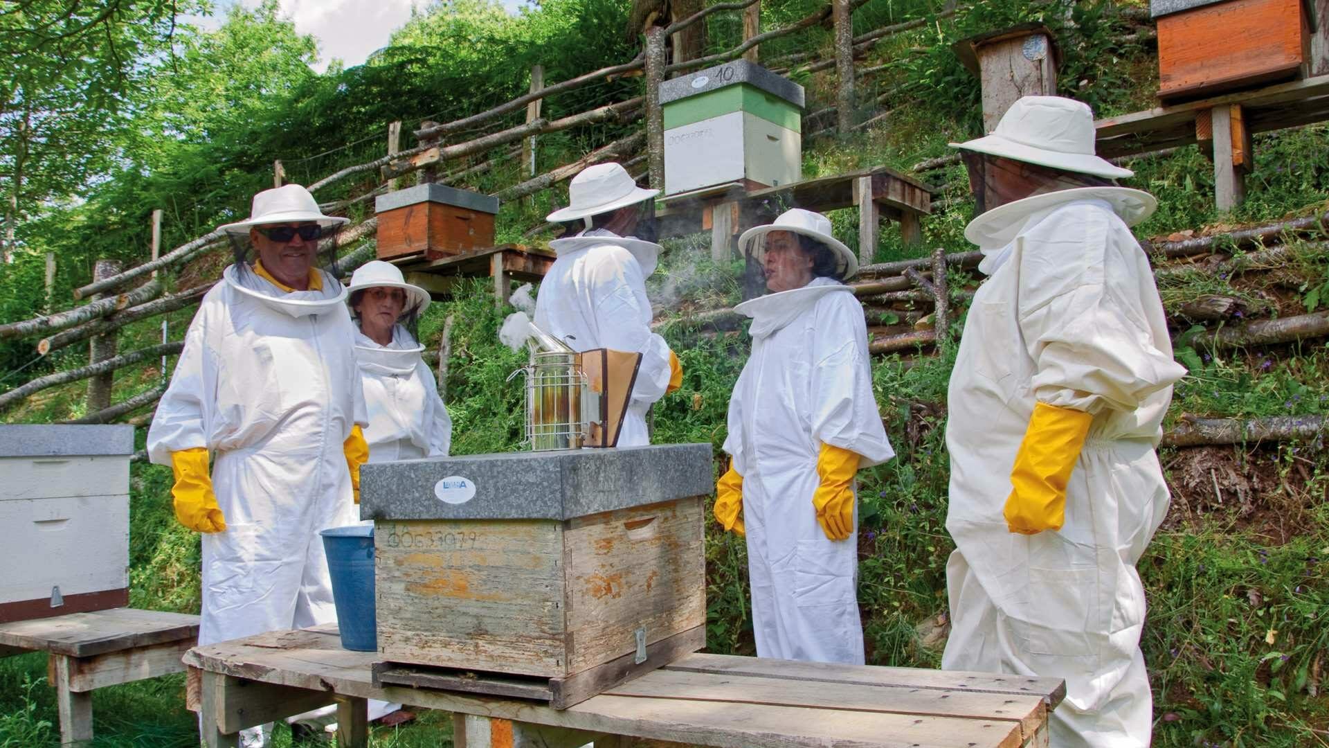 Conocer el universo de las abejas es toda una experiencia, puedes ser apicultor por un día. Foto © Juanjo Arrojo.