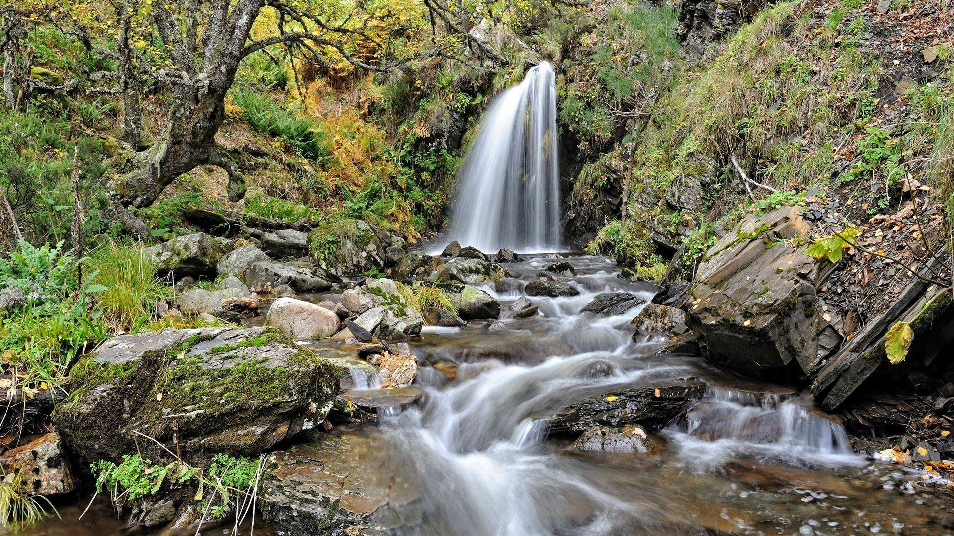 Río Narcea en el bosque de hayas de Hermo. Foto © Alejandro Badía