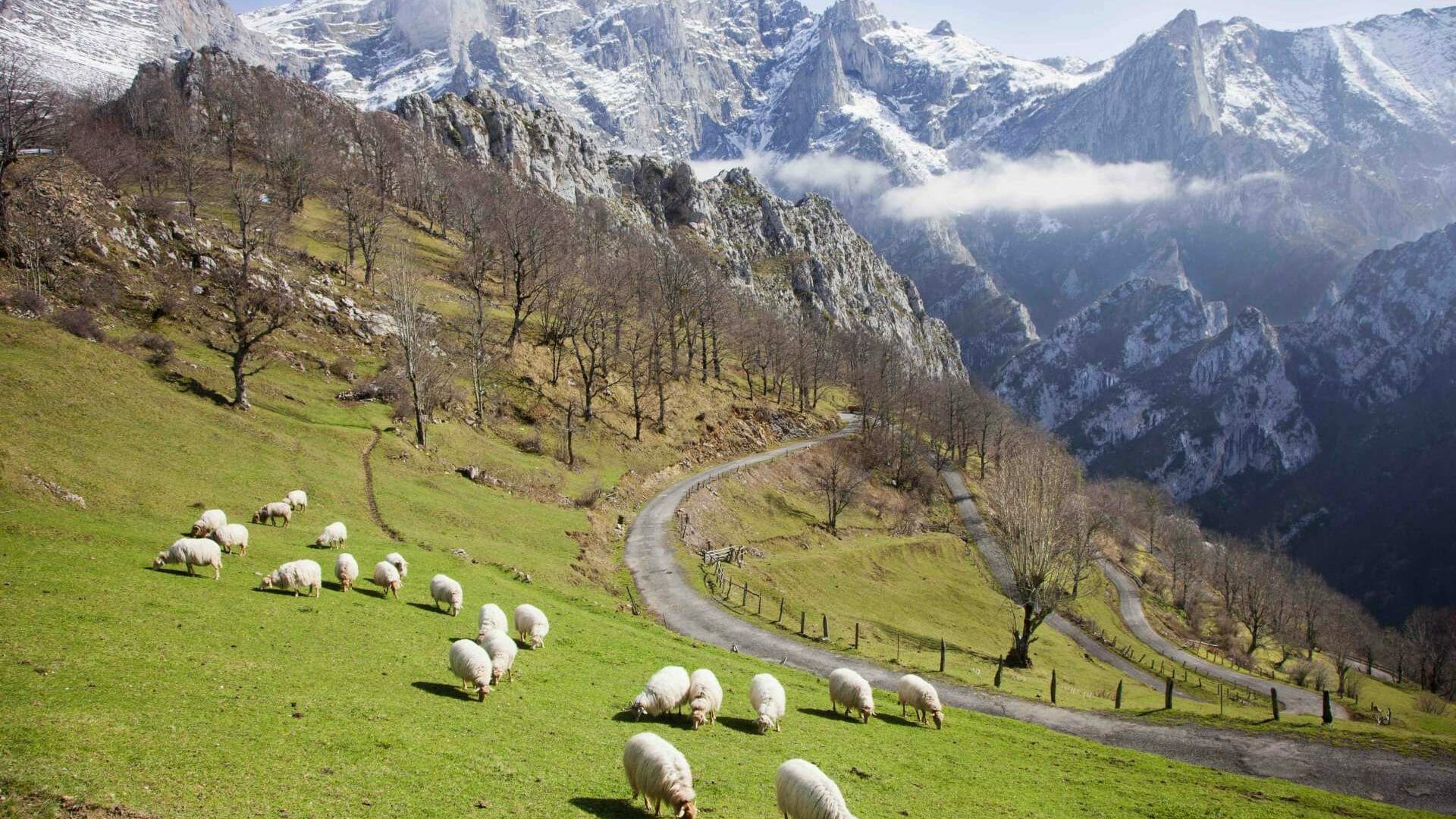 La ganadería y el turismo de montaña son los recursos de esta Reserva de la Biosfera asturiana. @Camilo Alonso.