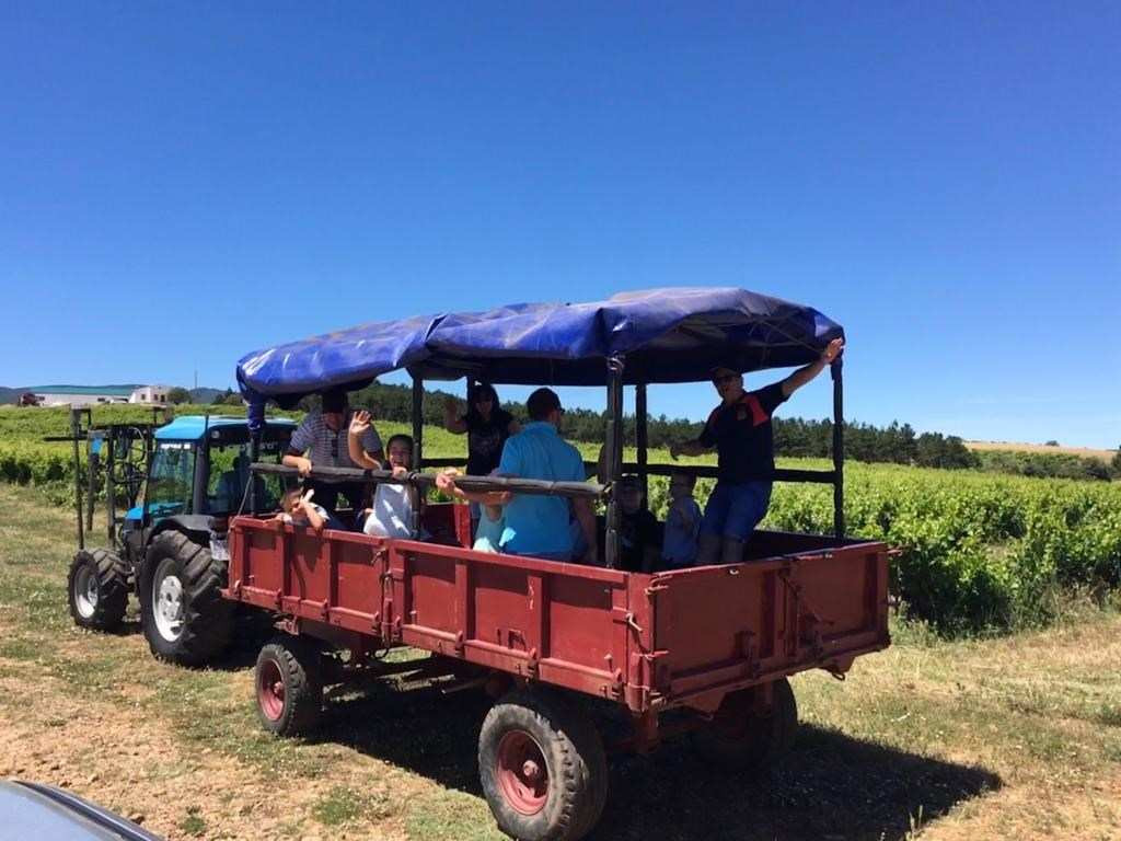 Paseo entre viñedos en Finca Vistahermosa en un original carro tirado por tractor. ¡Los niños se lo pasarán en grande!