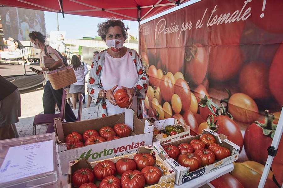 Los mejores tomates de España han competido en la Feria de Santa Cruz de Bezana.
