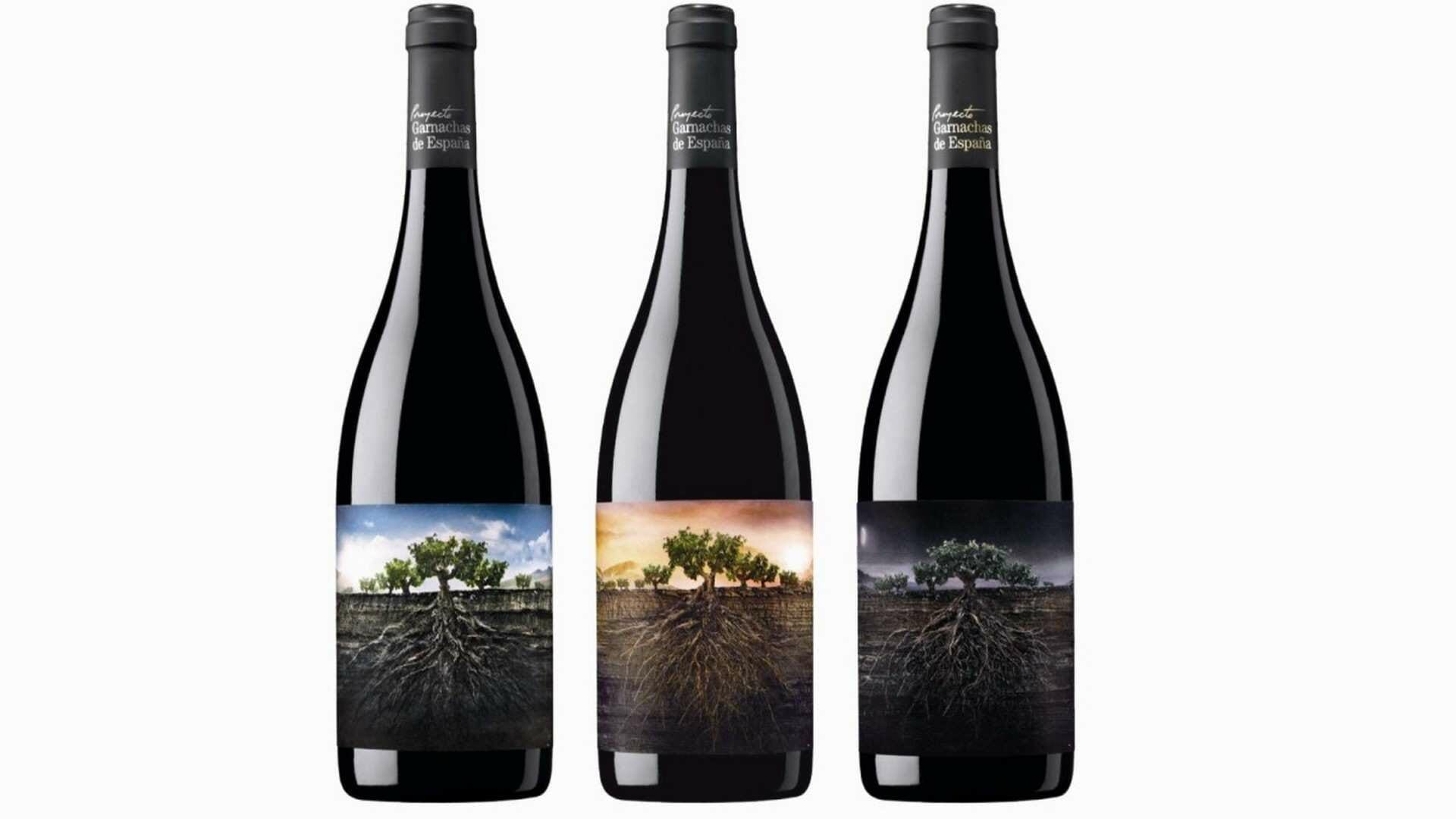 Garnacha Perdida del Pirineo. El sabor de la garnacha aragonesa en estado puro