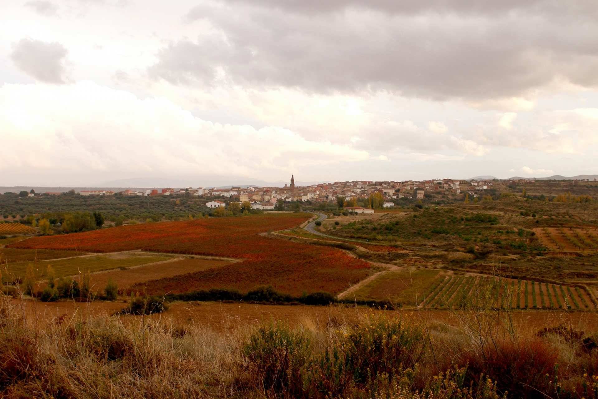 Aldeanueva de Ebro, con los colores del otoño. Foto: La Rioja Turismo.