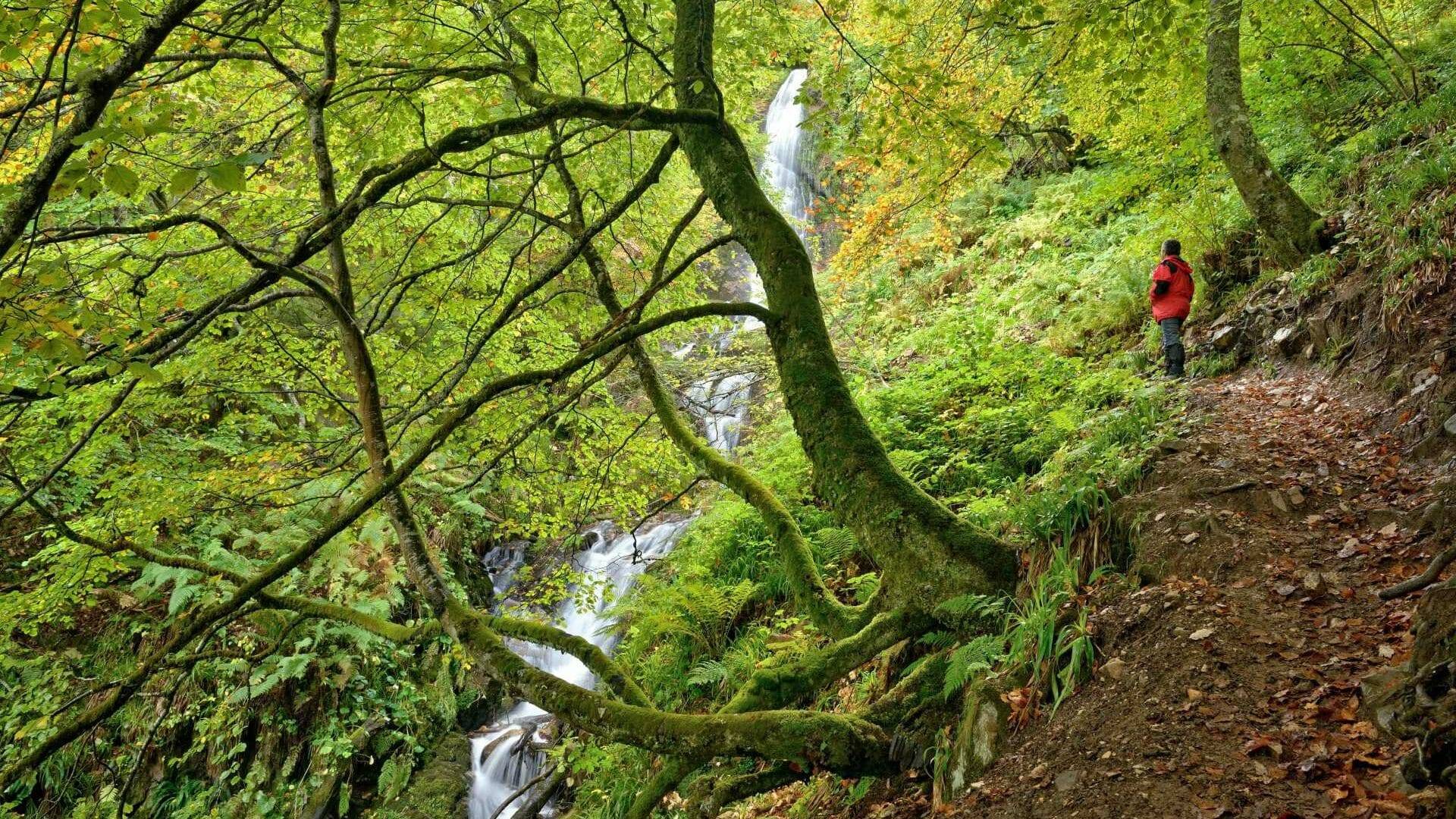 Hayedo de Montegrande y cascada del Xiblu, en el parque natural Las Ubiñas-La Mesa. ©Turismo de Asturias.