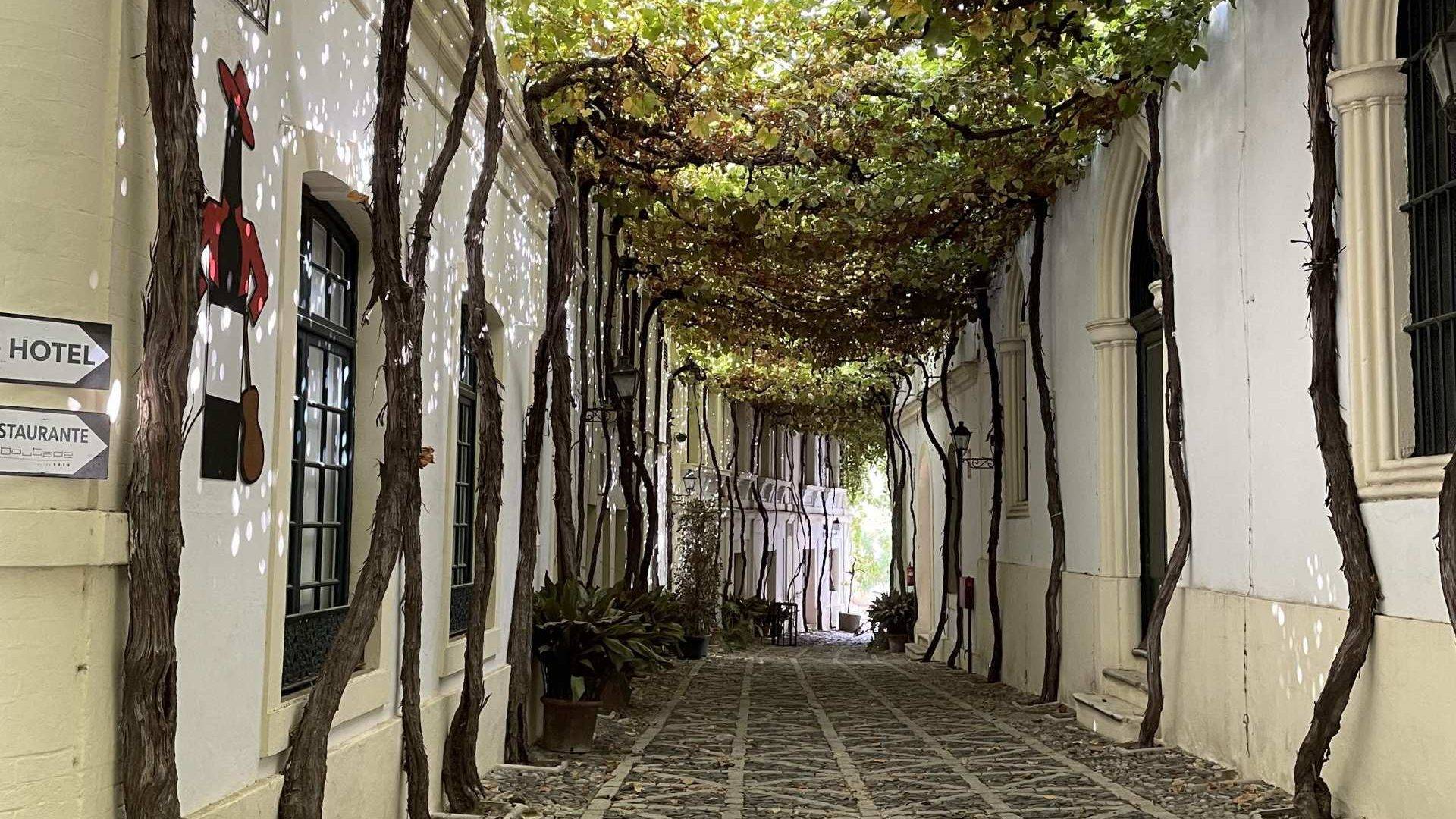 Una de las calles más bonitas del mundo: Calle Ciegos, dentro de las Bodegas González Byass.