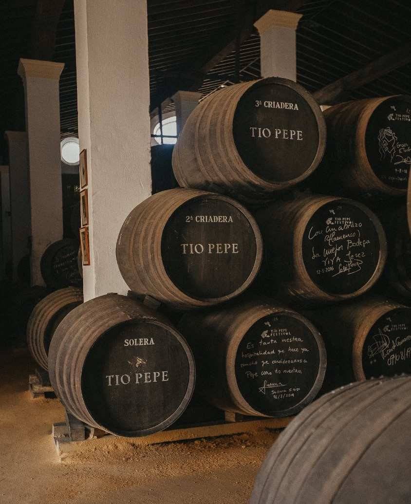 Criaderas y Solera, el complejo sistema de crianza de los vinos de Jerez, atesorados en botas centenarias.