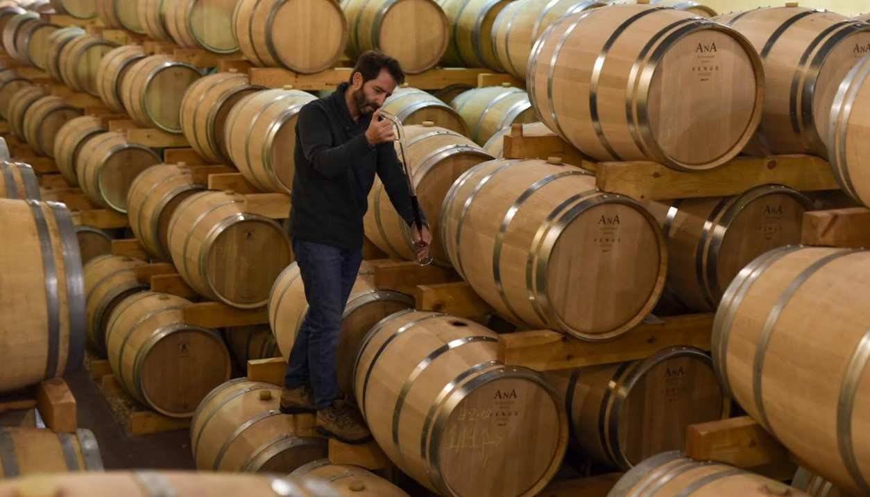 Bodegas Comenge lleva más de veinte años desarrollando actividades orientadas a difundir la cultura del vino